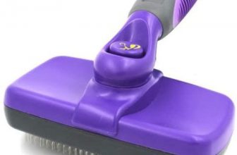 6 Best Cat Brushes