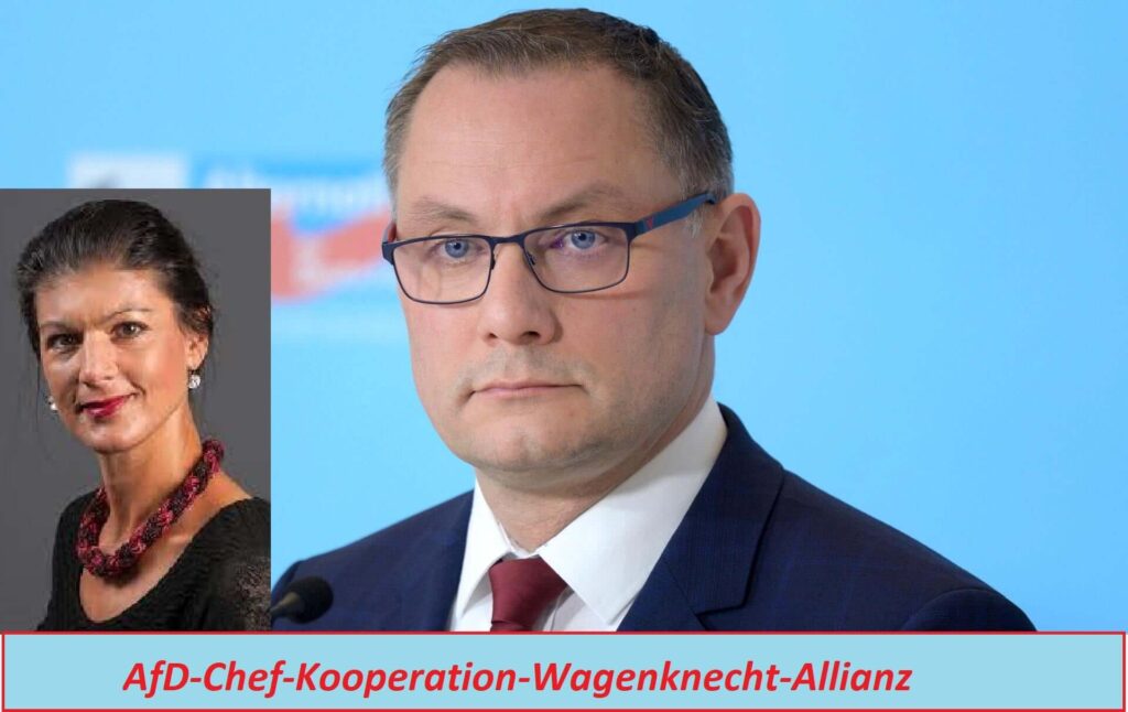AfD-Chef-Kooperation-Wagenknecht-Allianz