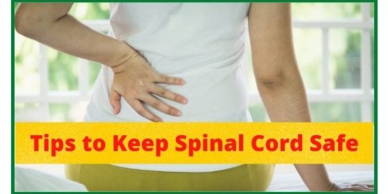 Tips for spinal care I Spine health exercises